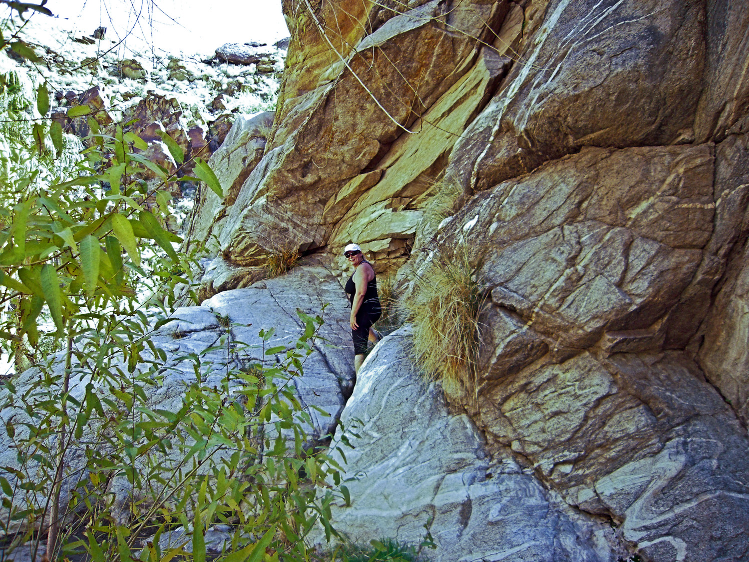 Murray Canyon03132010 (1)